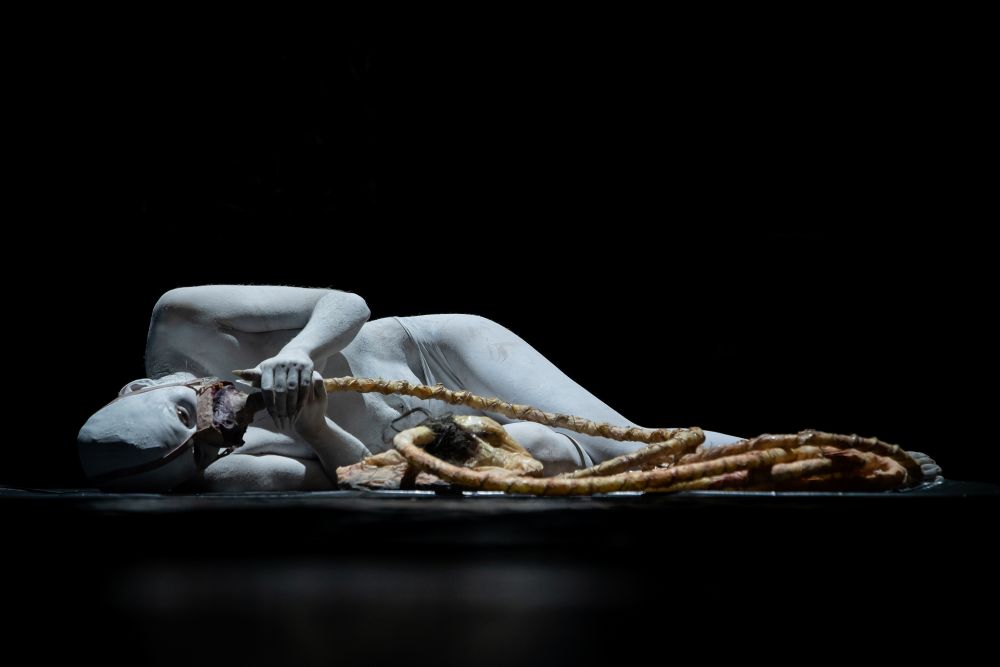 Osoba pokryta białą farbą do ciała leży skulona na podłodze w ciemności, chwytając duże, poskręcane przedmioty przypominające liny, które rozciągają się po ziemi - surrealistyczna, dramatyczna scena przypominająca Międzyuczelniany Przegląd Performans autorstwa aKTOmaR.